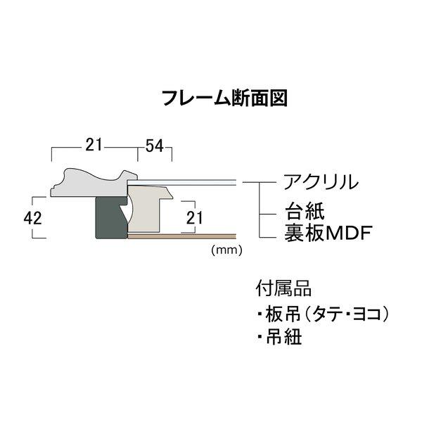 ds-アクリル仕様 油絵額・キャンバス・日本画額 つや消し油縁額 F4（333×242mm） シルバー_1