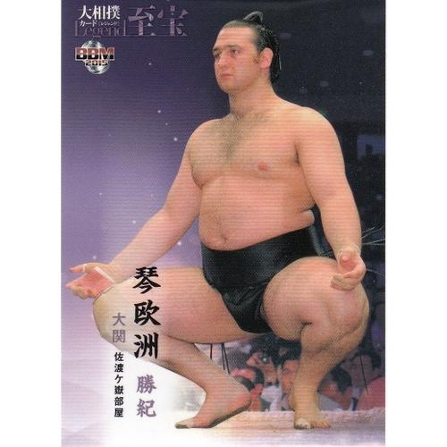 15BBM 大相撲カード LEGEND 至宝 #19 琴欧州 勝紀 : スポーツカード