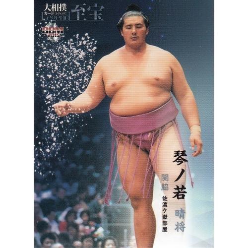 15BBM 大相撲カード LEGEND 至宝 #38 琴ノ若 晴将 : スポーツカード