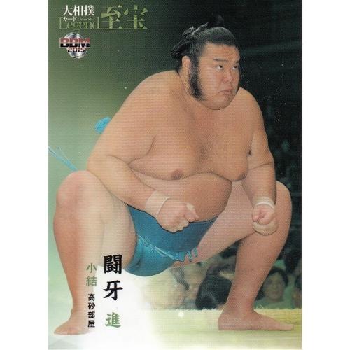 15BBM 大相撲カード LEGEND 至宝 #59 闘牙 進 : スポーツカードミント