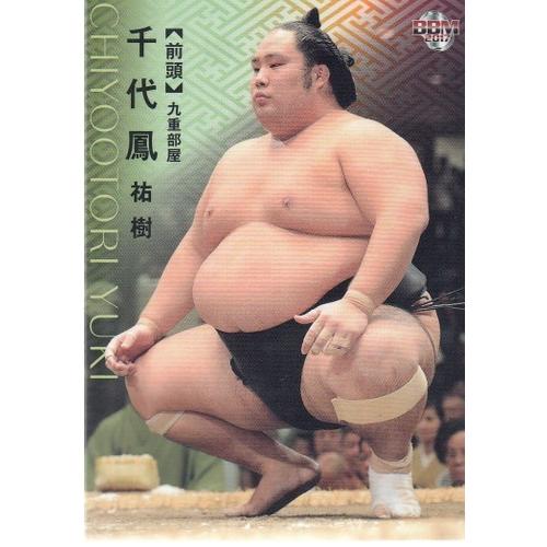 17BBM大相撲カード #35 千代鳳 : スポーツカードミント博多駅前店