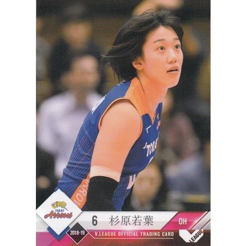 18-19 Vリーグオフィシャルカード 女子 東レ #06 杉原若葉 : スポーツ