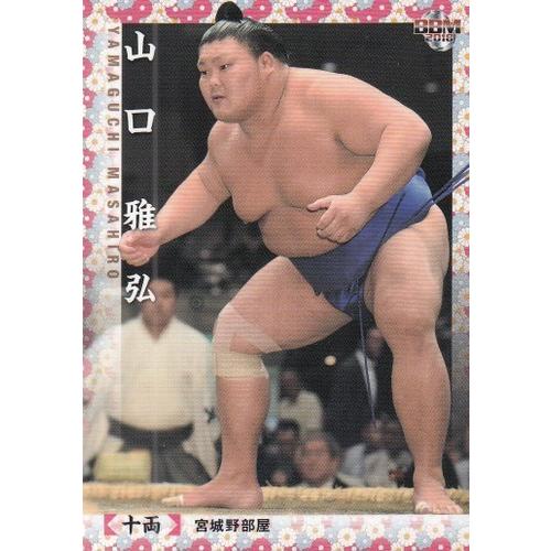 相撲カード BBM`97 相撲カード 年寄 安治川 旭富士 正也 - メルカリ