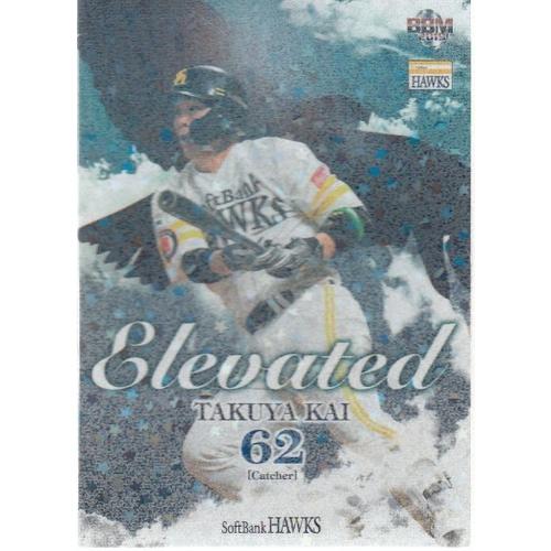 品質のいい ソフトバンクホークス 19bbm 甲斐拓也 75枚限定 Elevated トレーディングカード Www Sustentec Com Br
