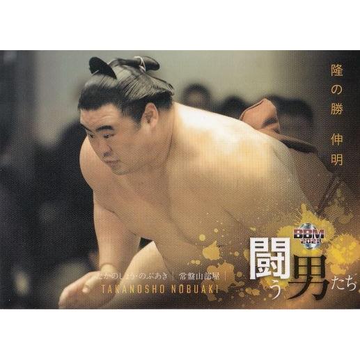 BBM 2021 大相撲カード | Trading Card Journal BBM 大相撲カード2021