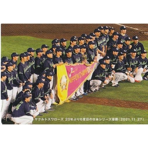 22カルビープロ野球チップス第1弾 C-01 ヤクルト：日本シリーズ優勝