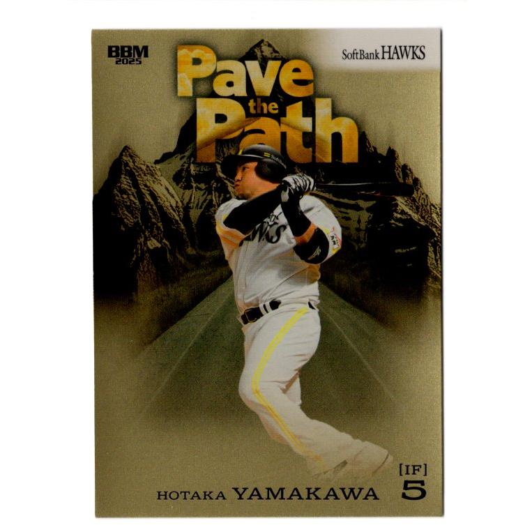 山川穂高 野球カード 02072142_67a5ffa21cc60.jpg