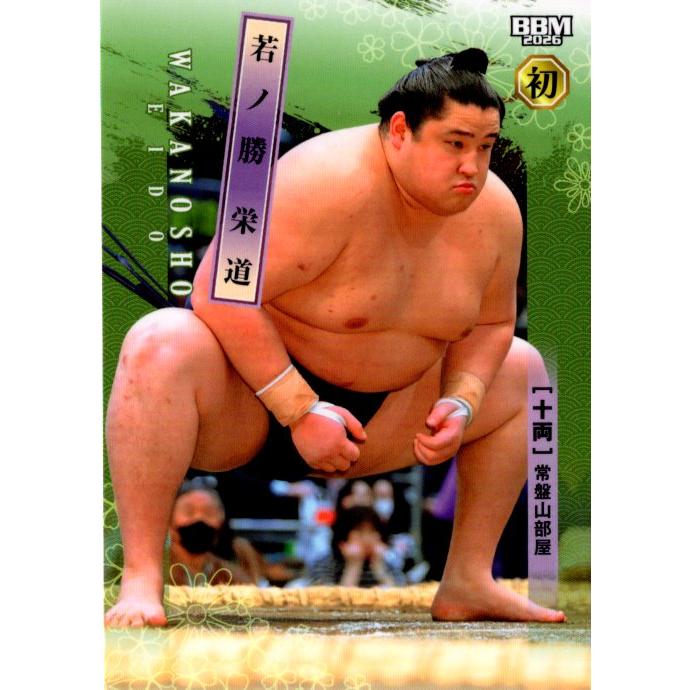 26BBM 大相撲カード #70 若ノ勝 栄道 十両 レギュラーカード