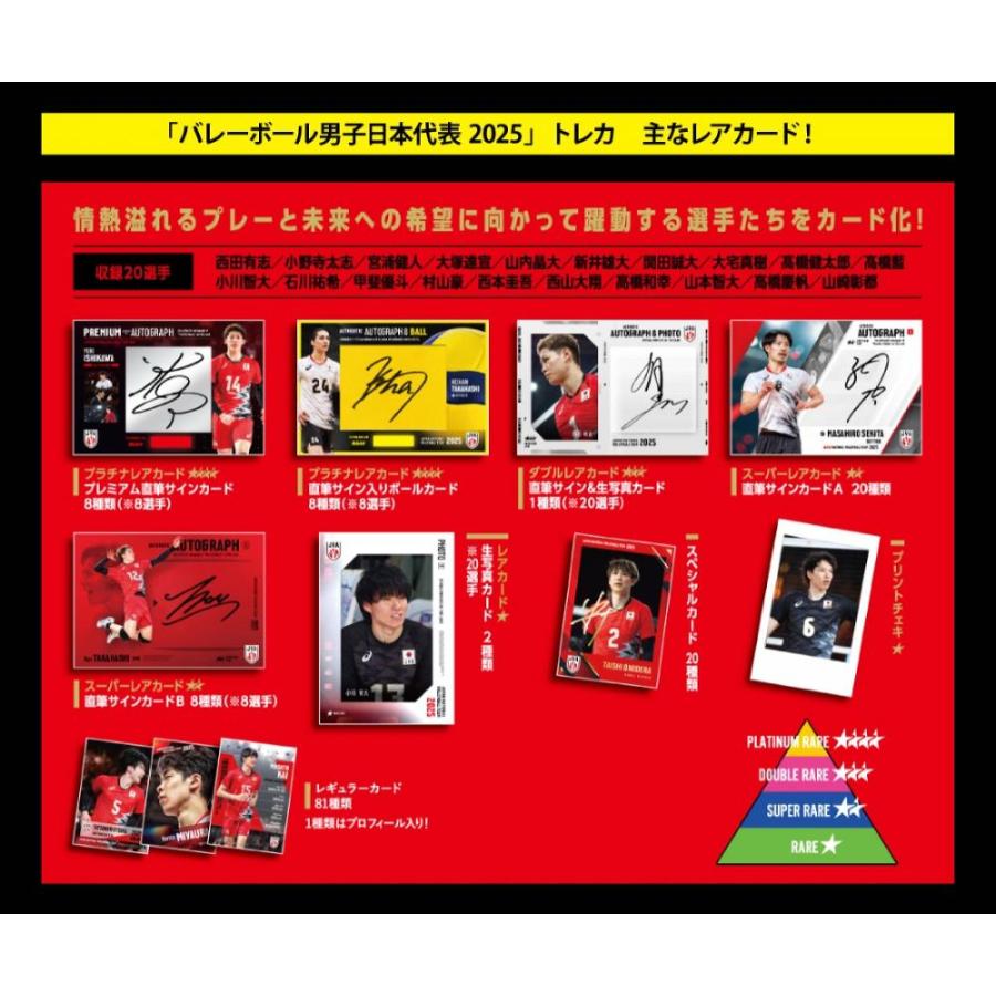 バレーボール男子日本代表 2025 トレーディングカード 未開封カートン バレーボール男子日本代表 2025 トレーディングカード[1ボックス