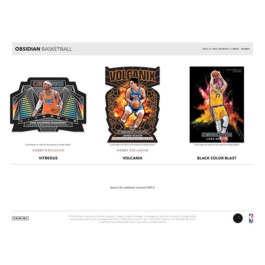 NBA 2024-25 PANINI OBSIDIAN HOBBY[1ボックス] |  | 04
