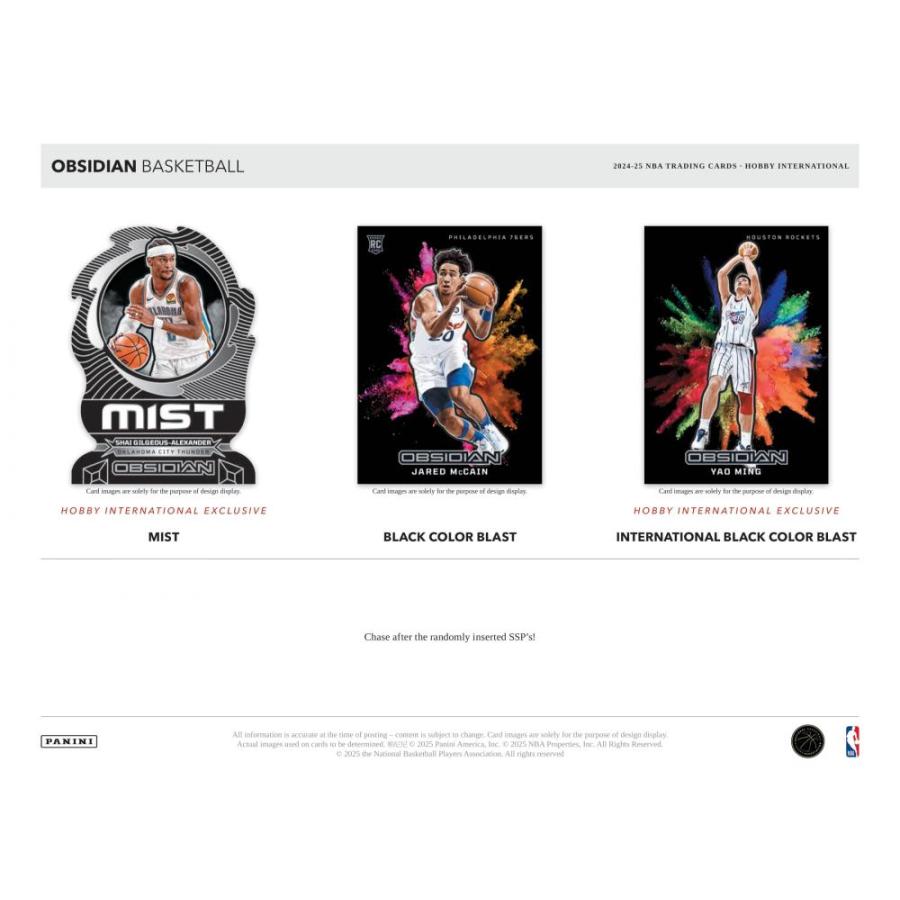 NBA 2024-25 PANINI OBSIDIAN HOBBY INTERNATIONAL[1ボックス