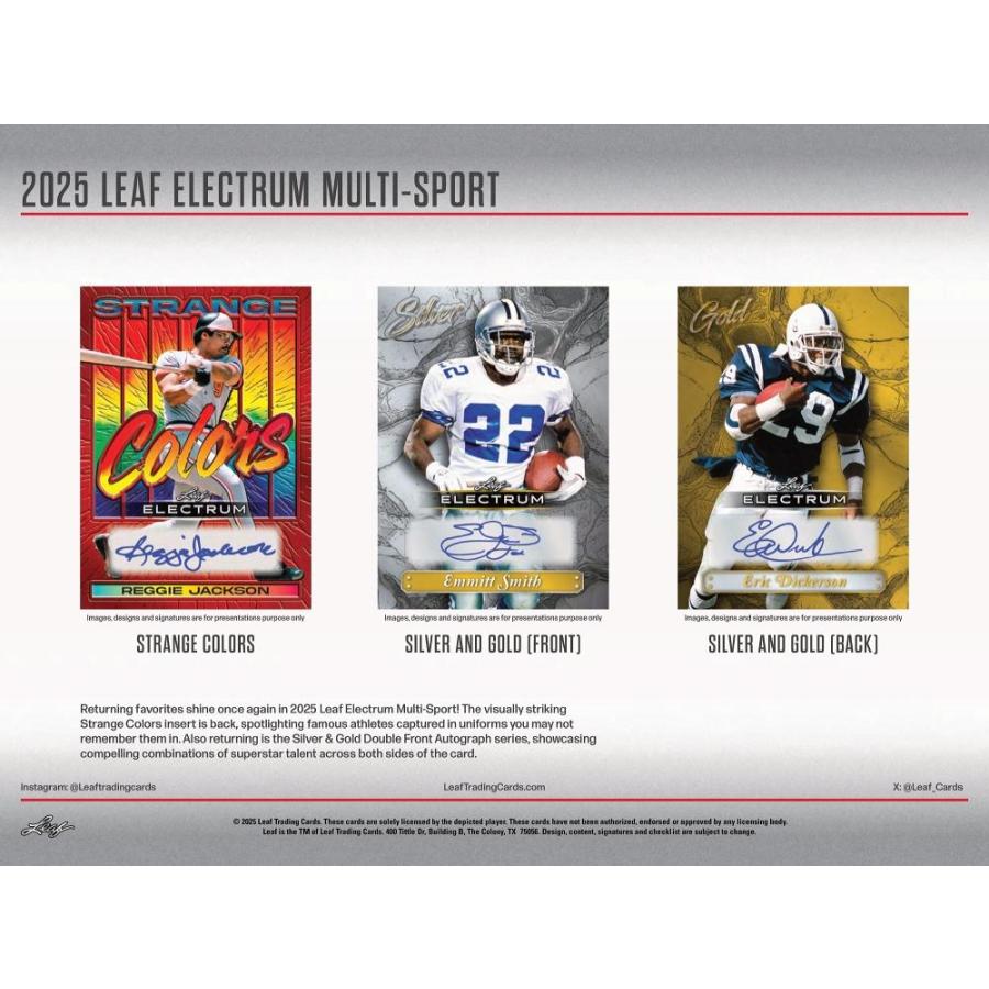 LEAF 2025 ELECTRUM MULTI SPORTS HOBBY[1ボックス] |  | 03