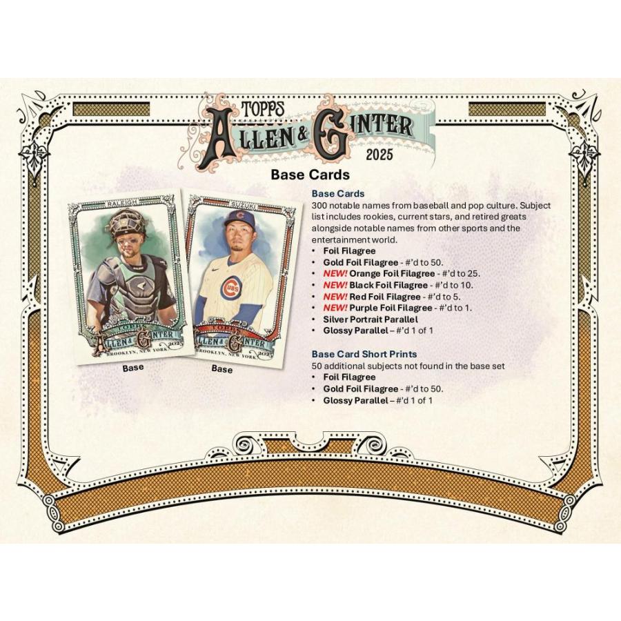 MLB 2025 TOPPS ALLEN & GINTER HOBBY[1ボックス] |  | 02