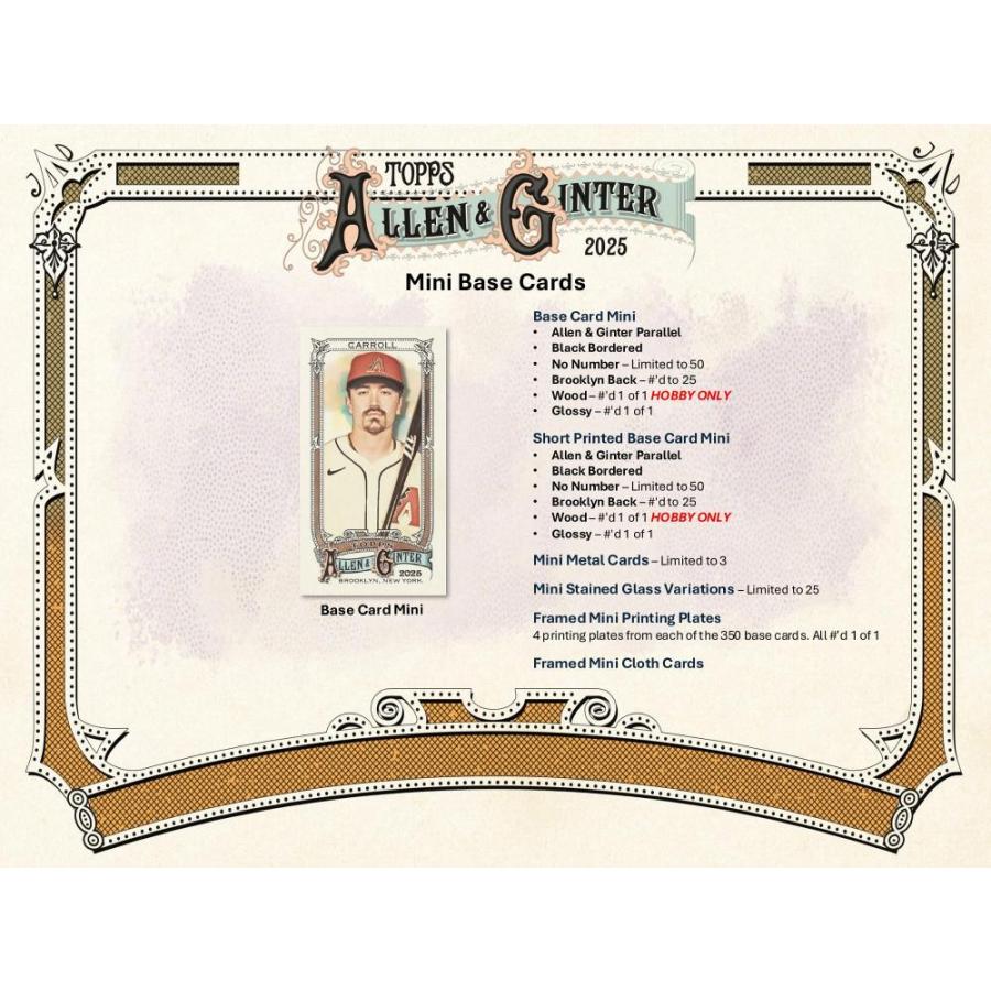 MLB 2025 TOPPS ALLEN & GINTER HOBBY[1ボックス] |  | 03