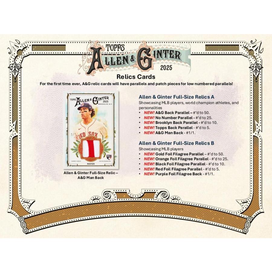MLB 2025 TOPPS ALLEN & GINTER HOBBY[1ボックス] |  | 05