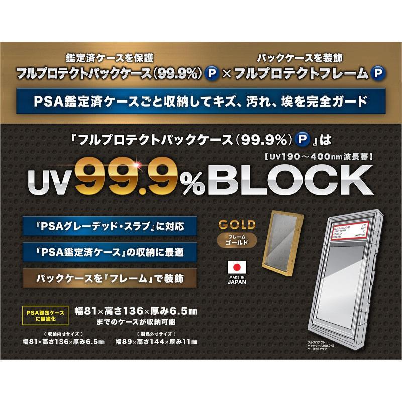 カワシマ フルプロテクトパックケース・プラスP(ゴールドフレームセット)[1個] | 