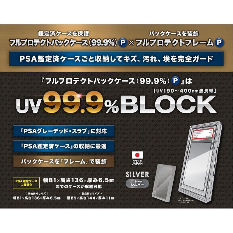 カワシマ フルプロテクトパックケース・プラスP(シルバーフレームセット)[1個] | 