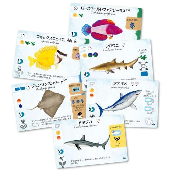 ◆予約◆フィンスパン 拡張:サメとサンゴ礁 日本語版 1〜5人用 対象年齢:10歳以上(ボードゲーム)[1個] |  | 02