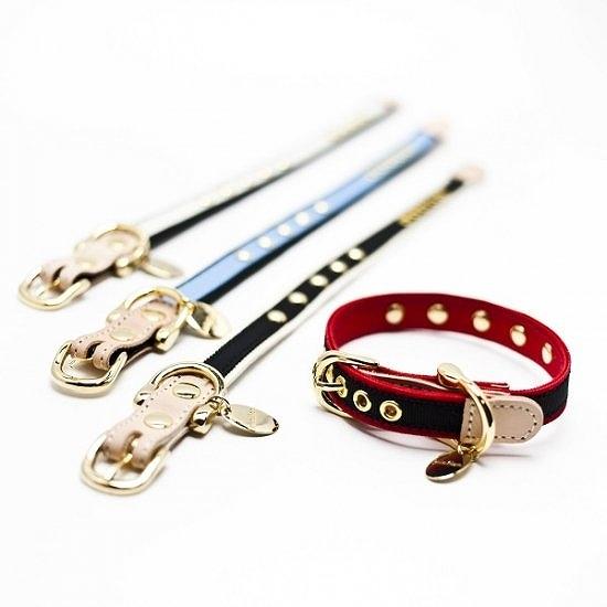 カラー＆リードセット 犬 おしゃれ かわいい 小型犬 中型犬 カラー リード グログランスタッズ 日本製 ミントタン minttan |  | 02