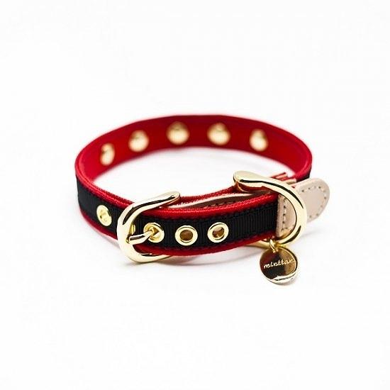 カラー＆リードセット 犬 おしゃれ かわいい 小型犬 中型犬 カラー リード グログランスタッズ 日本製 ミントタン minttan |  | 09