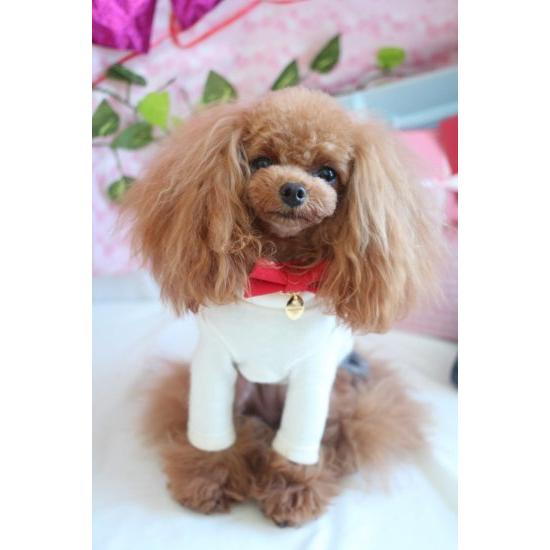 首輪 犬 おしゃれ かわいい 小型犬 中型犬 ビビットリボン 15ミリ幅 ラグジュアリー 日本製 ミントタン minttan |  | 03