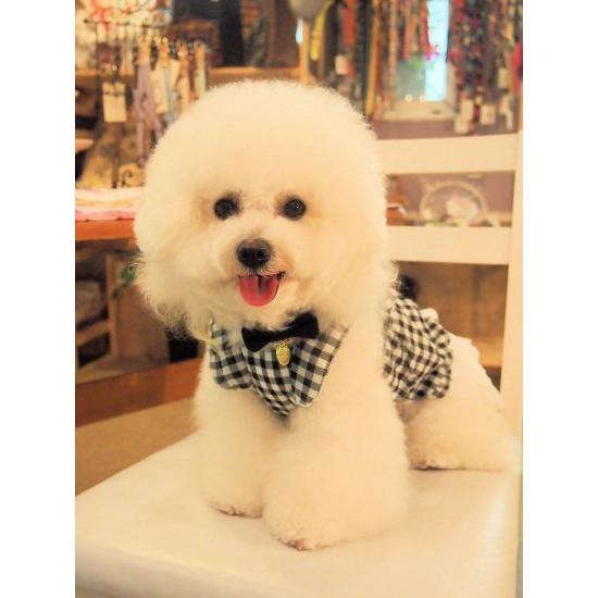 首輪 犬 おしゃれ かわいい 小型犬 中型犬 ビビットリボン 15ミリ幅 ラグジュアリー 日本製 ミントタン minttan |  | 05