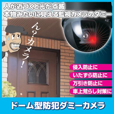 旭電機化成 防犯カメラ ダミー ドーム型 防犯 ダミーカメラ ADC-204