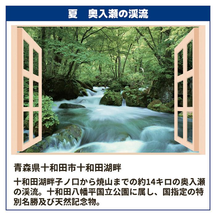 お風呂のポスター 四季彩 春（桜並木） お風呂 浴室 バスポスター 風景 景色 桜 癒し 8095651こづち