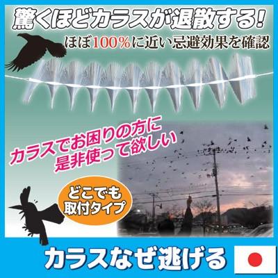 カラスよけ 対策 カラスなぜ逃げる どこでも取付タイプ カラス カラスよけ 対策 カラスなぜ逃げる どこでも取付タイプ カラス