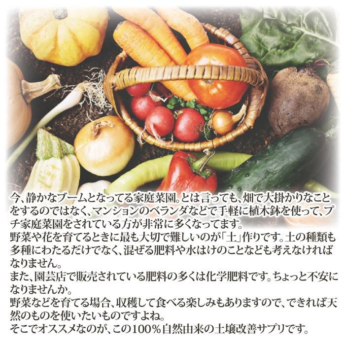 園芸養土・薬品 Ly クレイ THEO 10L 010-101-001 4個 ガーデニング 園芸用品