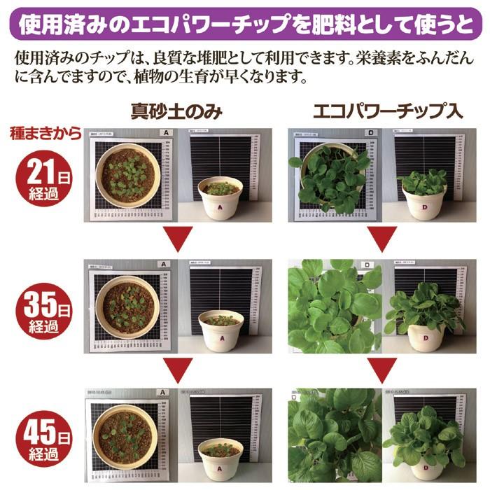 エコ・クリーン 生ゴミ処理機 自然にカエルS 基本セット SKS-101 助成