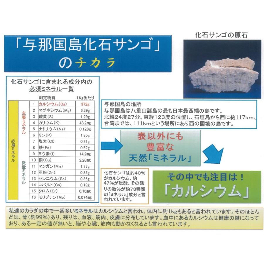 DONAN ドナン 分包 総合ミネラル含有食品 1g×30袋 与那国島 化石サンゴ