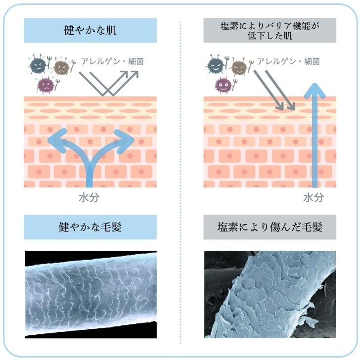 公式通販 ミラセルスティック ビューティー ヒト幹細胞培養上清液配合 ミラブル カートリッジ フィルター 脱塩除去 節水 | ミラブル | 13