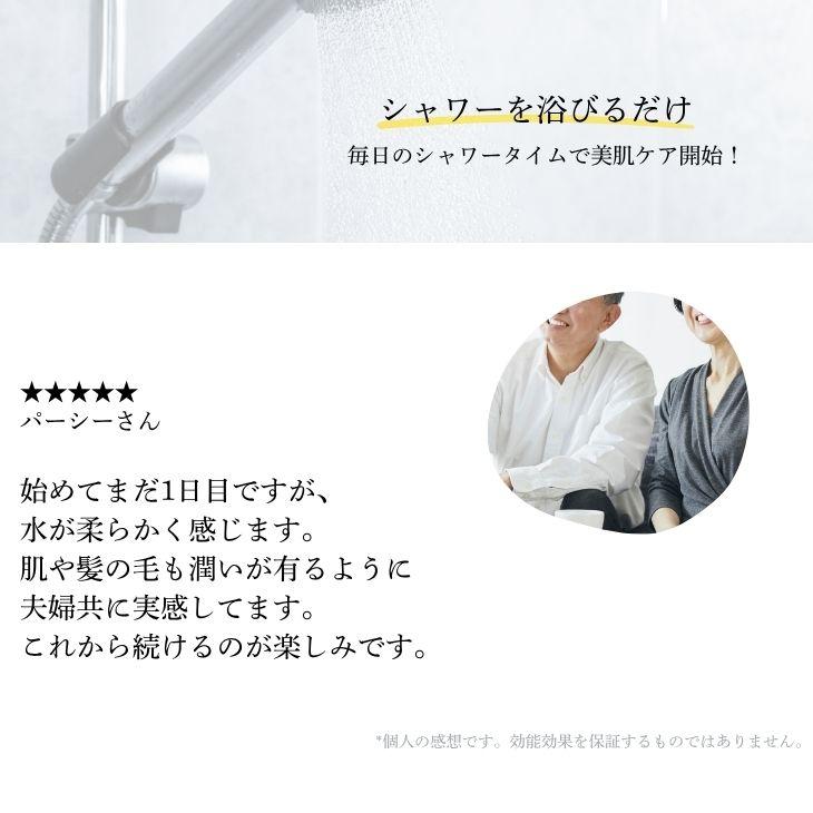 公式通販 ミラセルスティック ビューティー ヒト幹細胞培養上清液配合 ミラブル カートリッジ フィルター 脱塩除去 節水 | ミラブル | 17