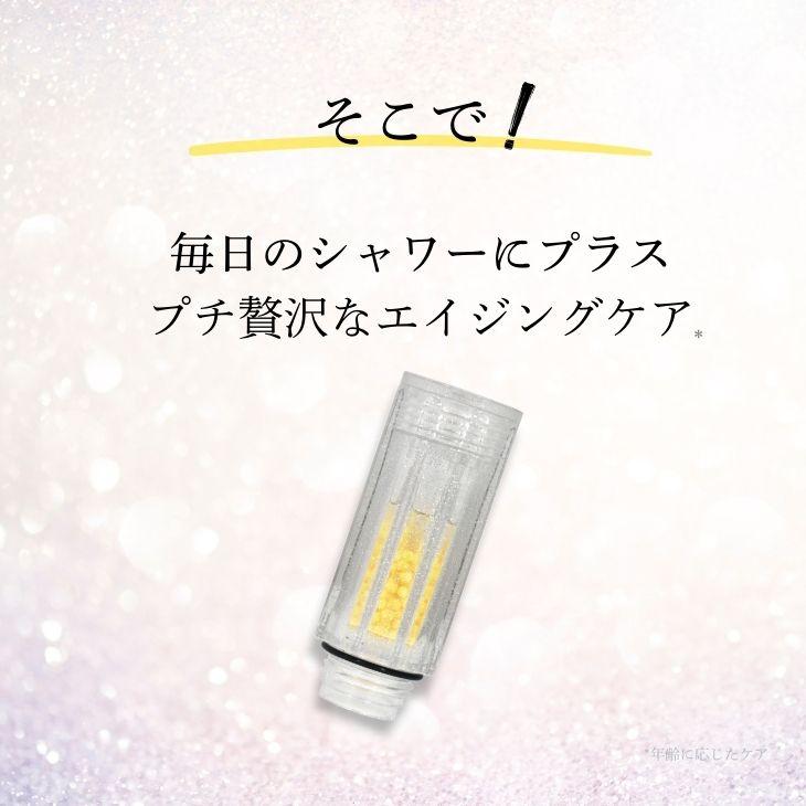 公式通販 ミラセルスティック ビューティー ヒト幹細胞培養上清液配合 ミラブル カートリッジ フィルター 脱塩除去 節水 | ミラブル | 04