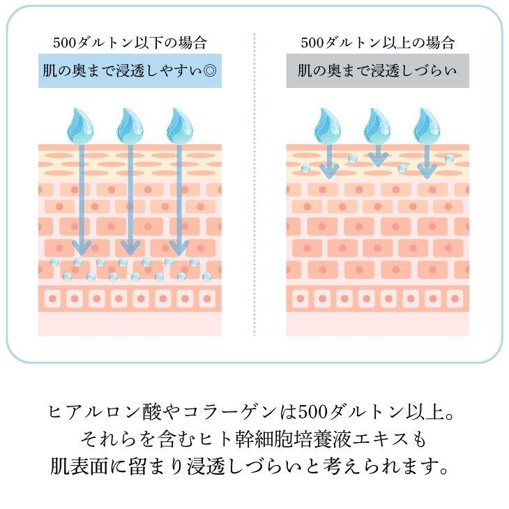 公式通販 ミラセルスティック ビューティー ヒト幹細胞培養上清液配合 ミラブル カートリッジ フィルター 脱塩除去 節水 | ミラブル | 09