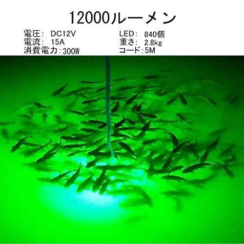 集魚灯 水中集魚灯 釣り 仕掛け Led 水中ライト Ip68 防水 人気 おすすめ イカ ウナギ ブルー 12v 5m 0w エビ フィッシング