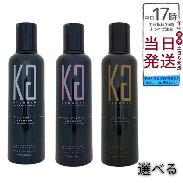 KYOGOKU PROFESSIONAL 京極 カラーシャンプー 200ml ブルーパープル