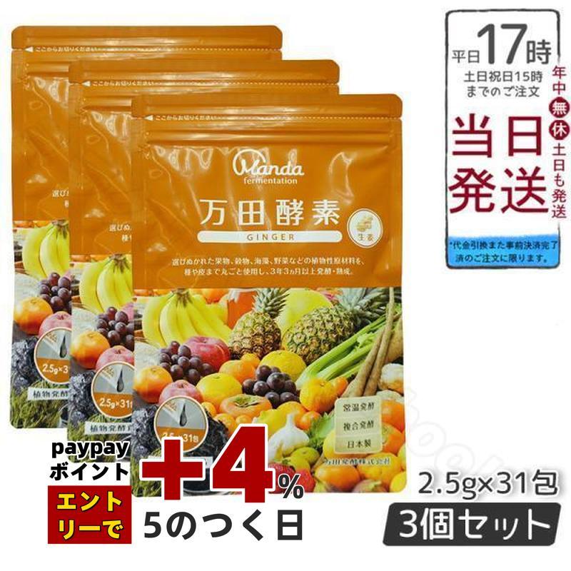 万田酵素 ペーストタイプ GINGER ジンジャー 分包 77.5g (2.5g×31包) 3 