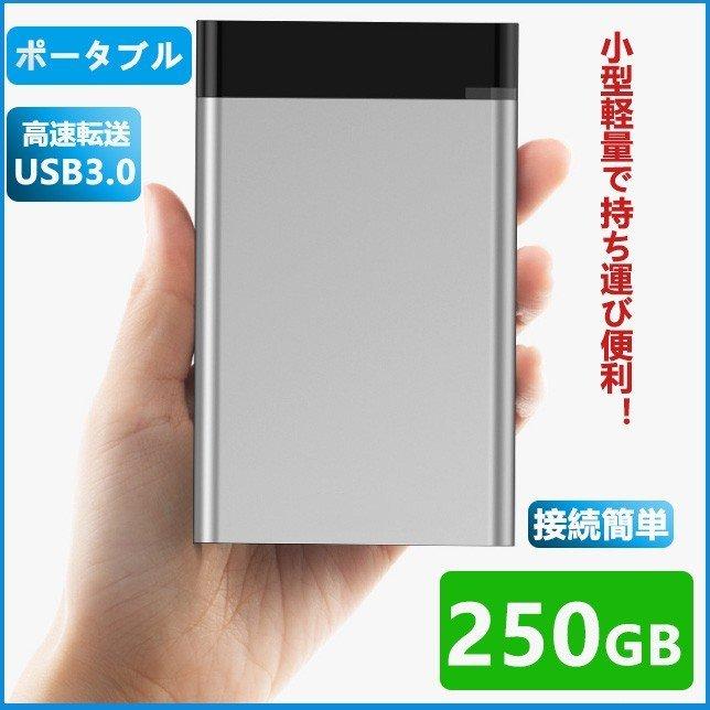 【即納！最大半額！】 期間限定キャンペーン 外付けHDD 250GB ポータブル型 4k対応テレビ録画 PC パソコン mac対応 USB3.1 USB3.0用 HDD 2.5インチ 持ち運び 簡単接続 ハードディスク 最安値に挑戦 cartoontrade.com cartoontrade.com