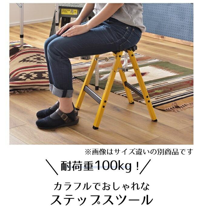 2段 踏み台 高さ55cm 折りたたみ式 ツーステップ 脚立 幅広