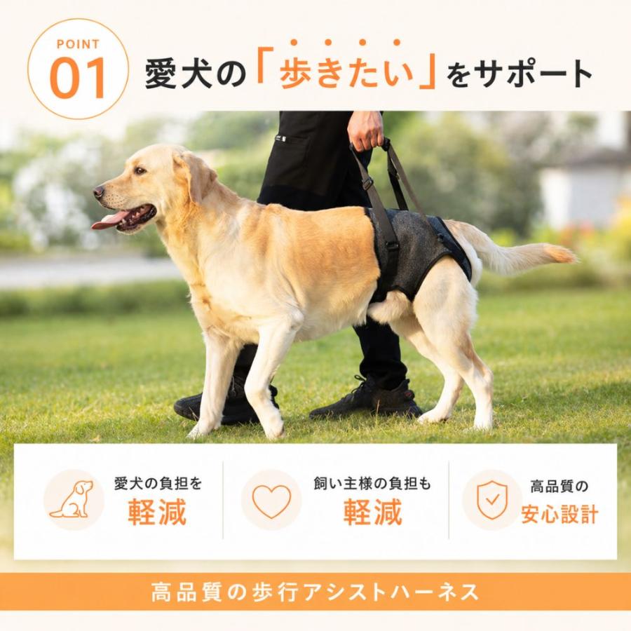 犬 介護 ハーネス 歩行補助 中型犬 大型犬 老犬 リハビリ 散歩 胴輪