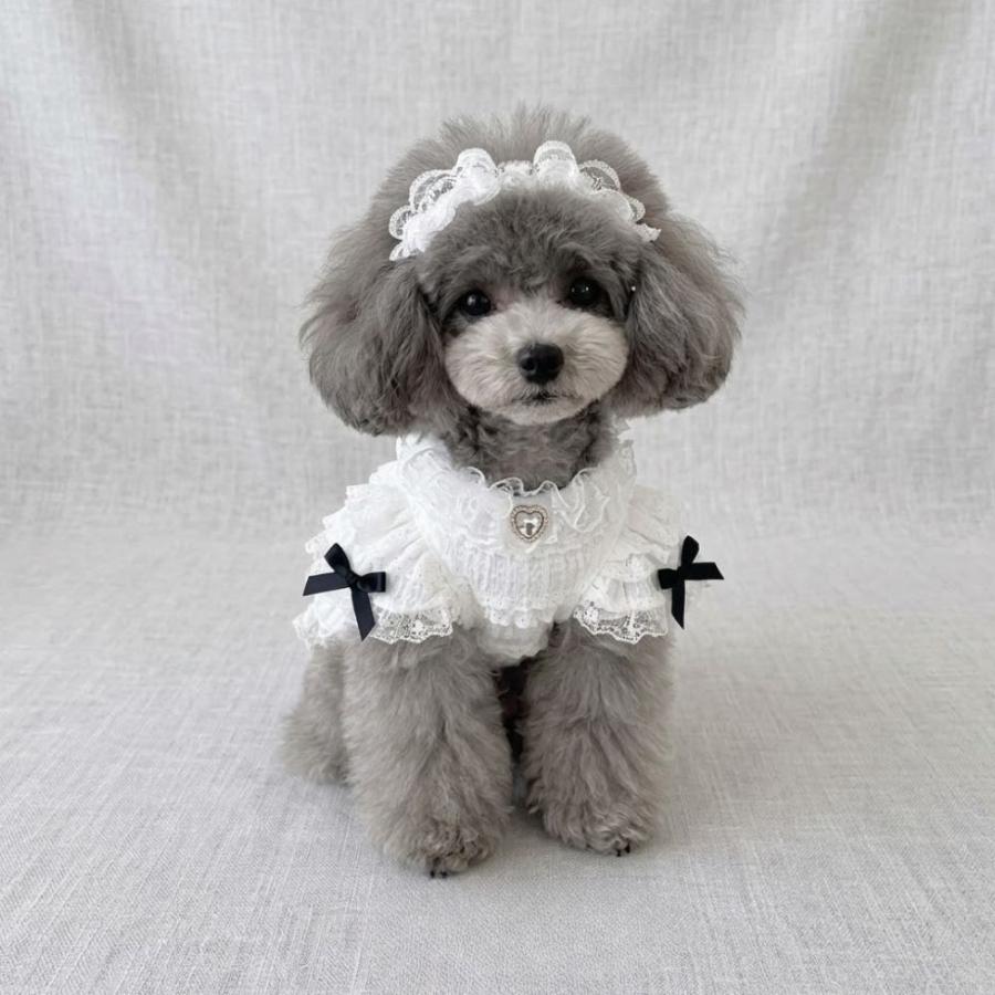 犬 服 ワンピース ドレス レース フリル ハート リボン 小型犬 子犬