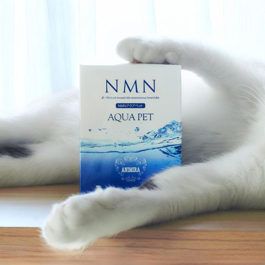 在庫限り】【賞味期限2026年11月末】【MIRAILAB 完全β型NMN