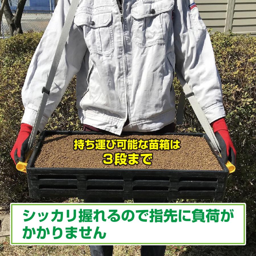 苗箱用ハンドル(バンド付) 苗箱 播種 水稲 水田 田んぼ 取手 : 未来