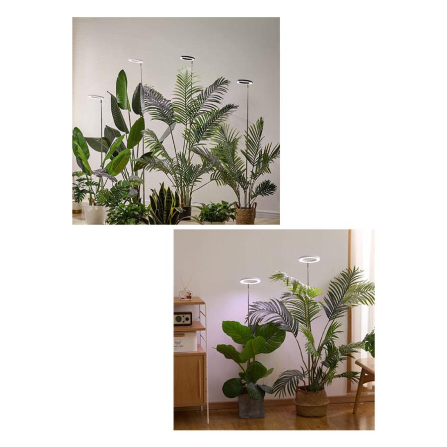 植物LEDライト 植物育成ライト 育成LEDトムテラス 4個セット