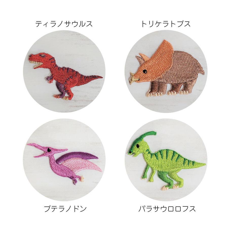 恐竜 ワッペン 5枚セット 日本製 子供 マスク Tシャツ 与え 肌着 ミ二ワッペン アップリケ ハンドメイド アイロン接着 帽子 タオル 手芸 刺繍ワッペン