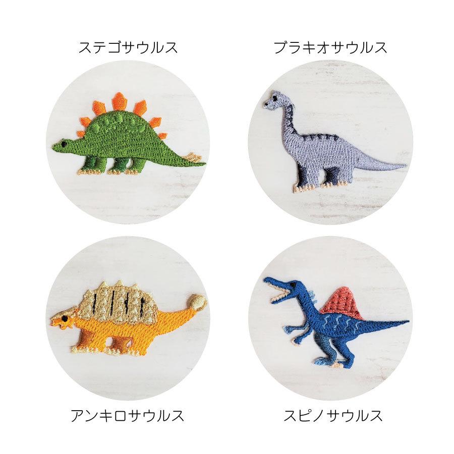 恐竜 ワッペン 5枚セット 日本製 子供 マスク Tシャツ 与え 肌着 ミ二ワッペン アップリケ ハンドメイド アイロン接着 帽子 タオル 手芸 刺繍 ワッペン