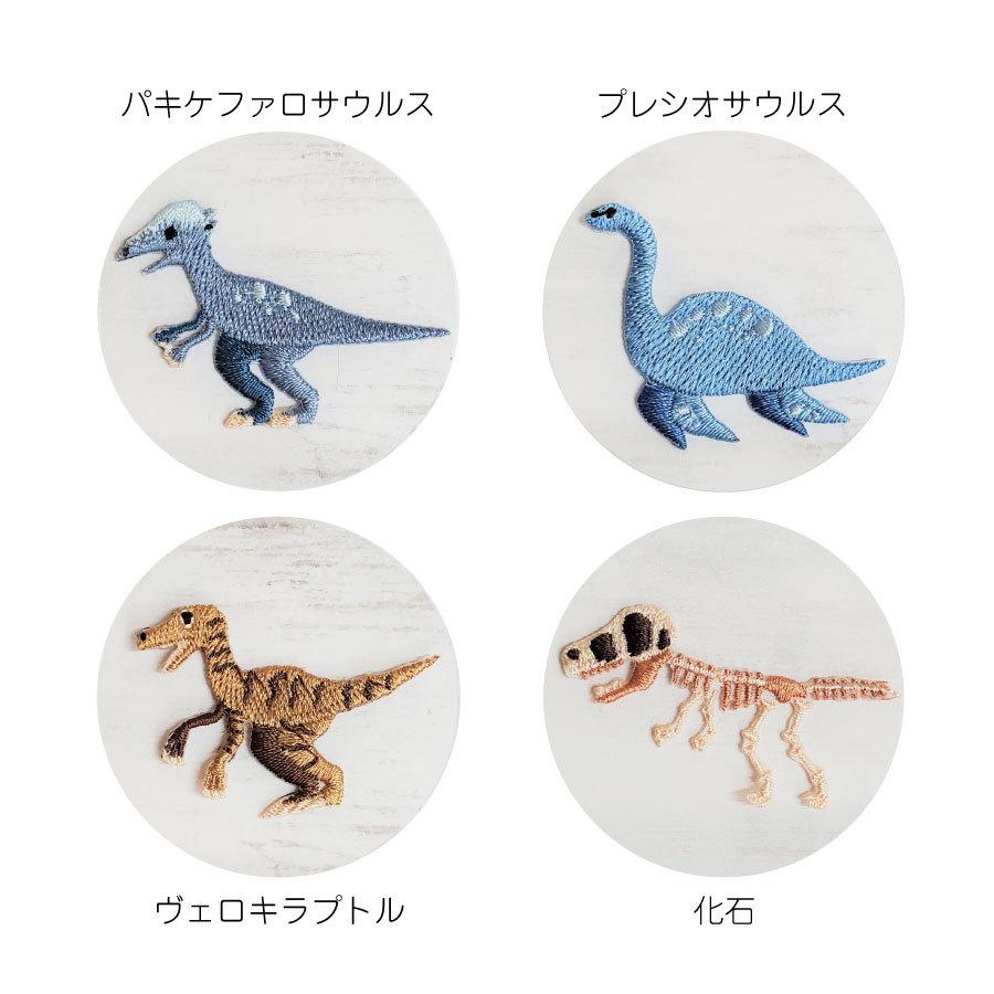 恐竜 ワッペン 5枚セット 日本製 子供 マスク Tシャツ 与え 肌着 ミ二ワッペン アップリケ ハンドメイド アイロン接着 帽子 タオル 手芸 刺繍 ワッペン