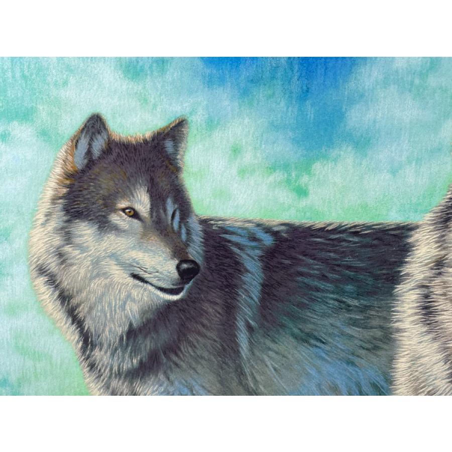 ジョウナイトウ 野生の証明 | www.jarussi.com.br